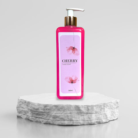 Dispenser Hand Soap
